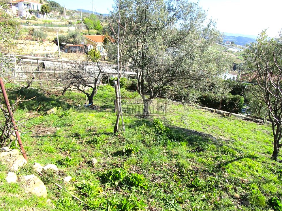 Agenzia Immobiliare Centrale Sanremo